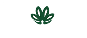 Nav_logo